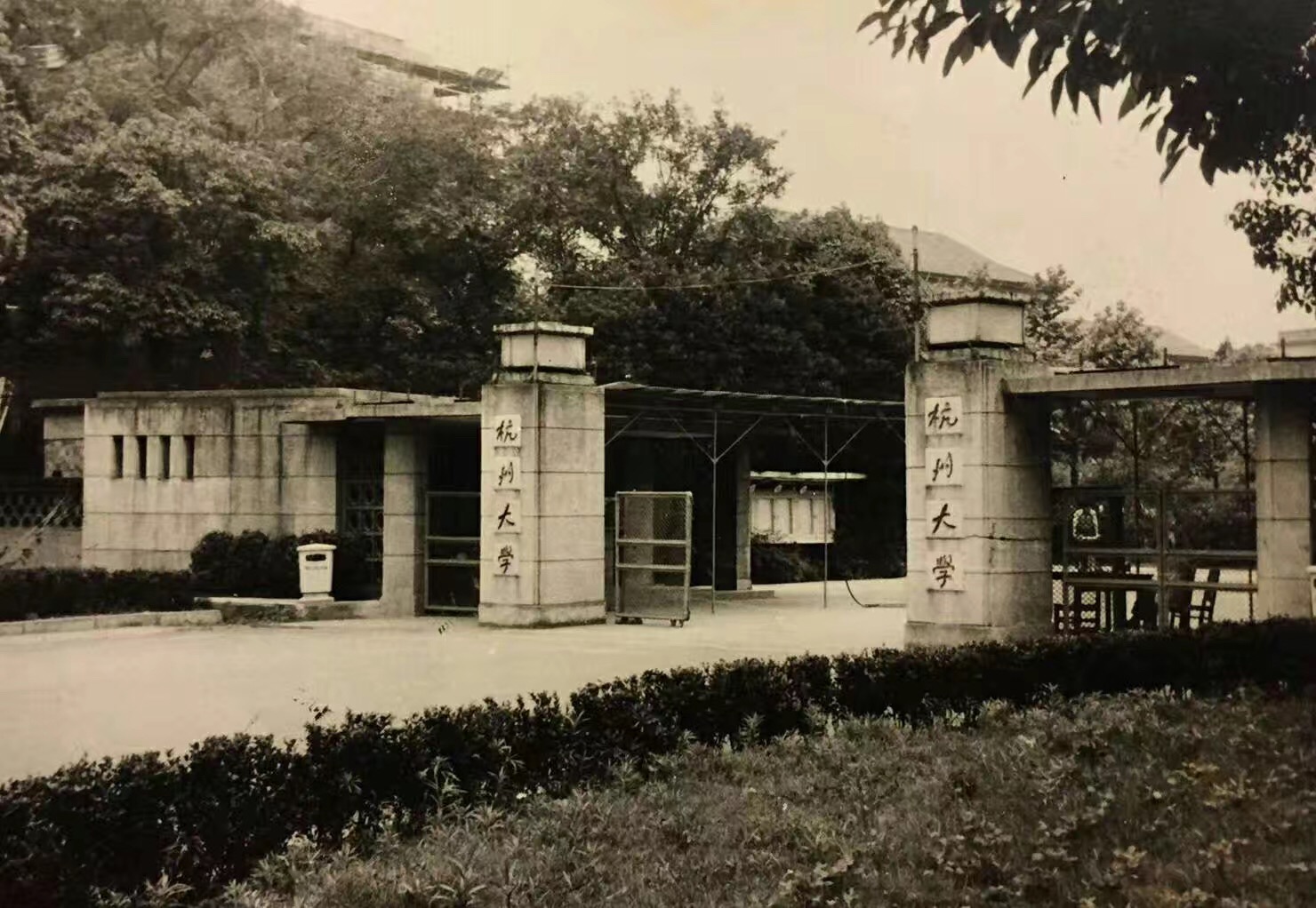 杭州大学校门（早）.jpg